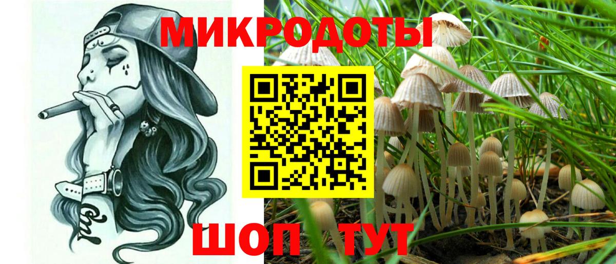 Псилоцибиновые грибы MAGIC MUSHROOMS Полевской