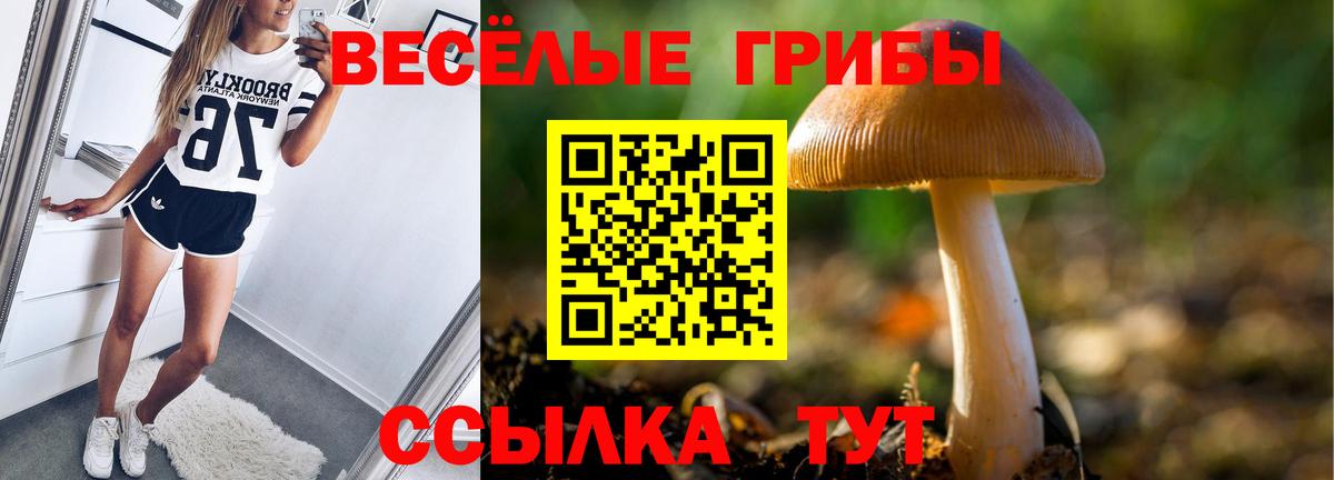 наркошоп  Псилоцибиновые грибы Magic Shrooms  Вход с VPN  Полевской 